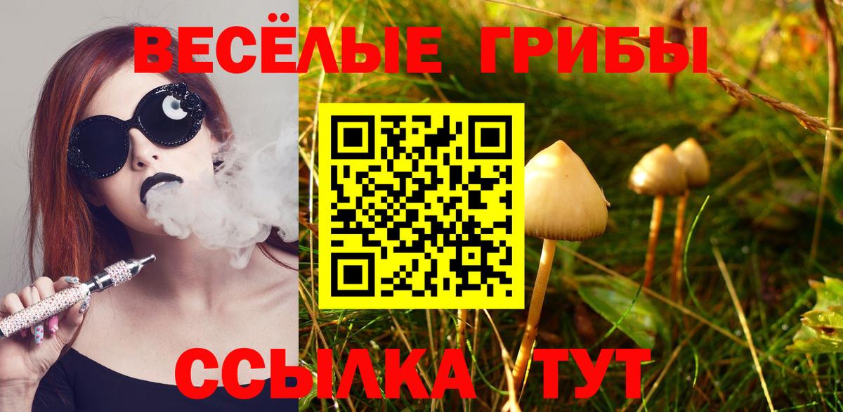 Галлюциногенные грибы Cubensis  Вход с VPN  Псилоцибиновые грибы Psilocybe  Красноуфимск 